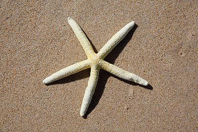 《渔帆暗涌》付费DLC“Iron Rig”延期至明年